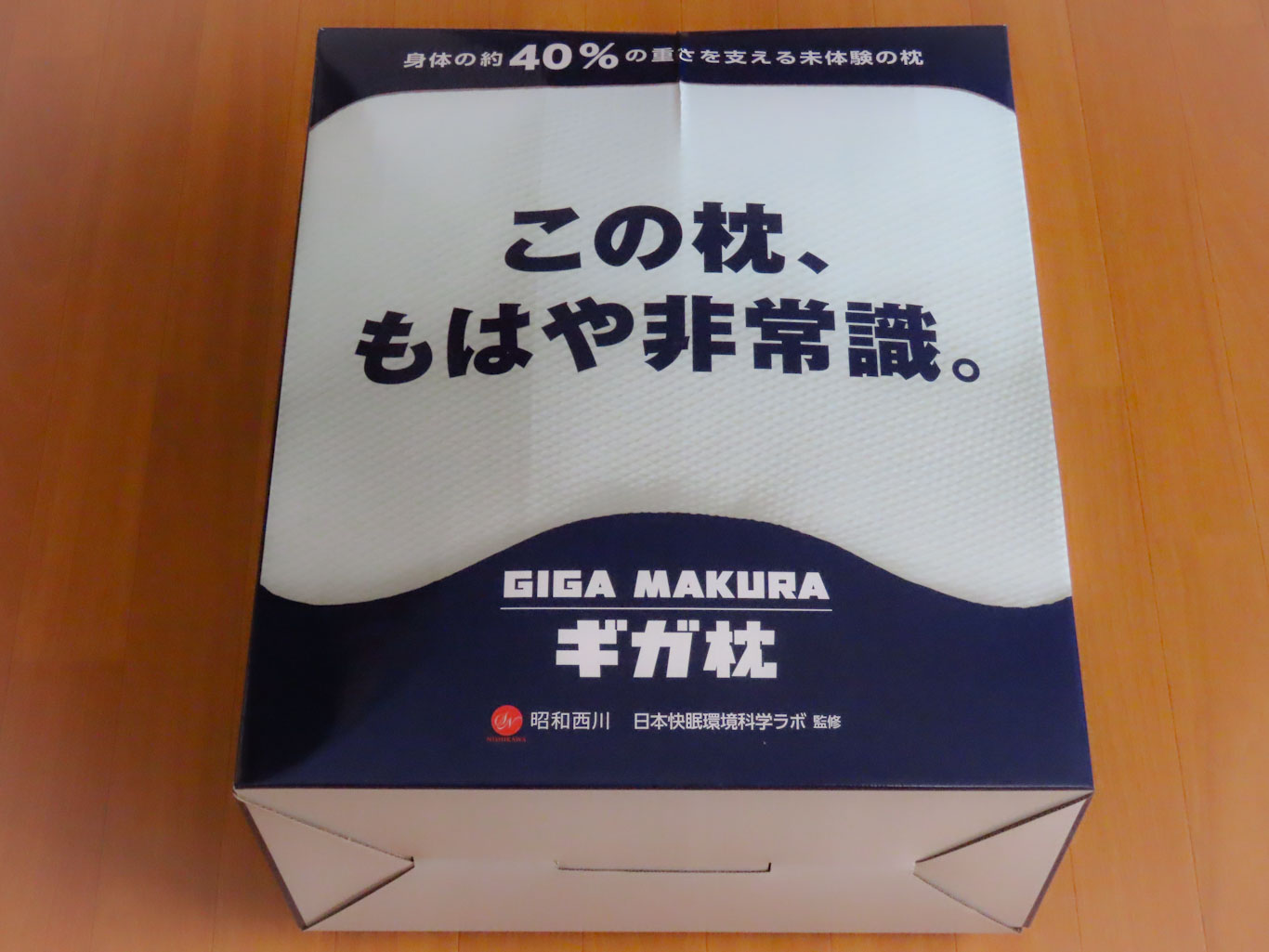 昭和西川 ギガ枕 DR-10000 化粧箱（表）
