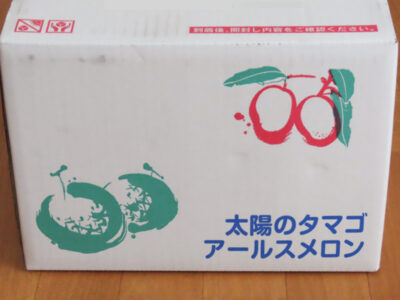 ジャパネットのフルーツ定期便「宮崎県産 太陽のタマゴ・アールスメロン」のダンボール箱に描かれたイラスト