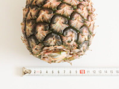 沖縄県産ピーチパインの大きさ（直径約12cm）